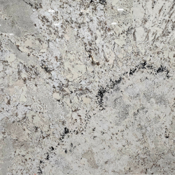 Adonis White (Group D)