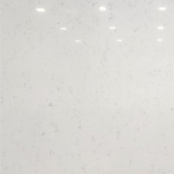 Carrara Pisa (Group A)