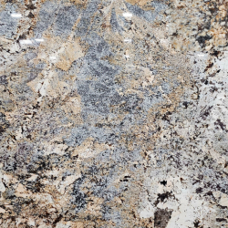 Delicatus Gold (Group C)