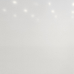 Morning Frost (Group B)